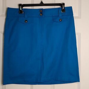 Ann Taylor Blue Casual Skirt Size  8